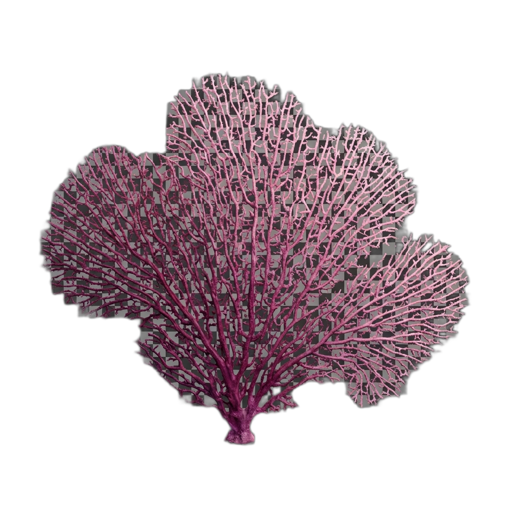 Fan Coral
